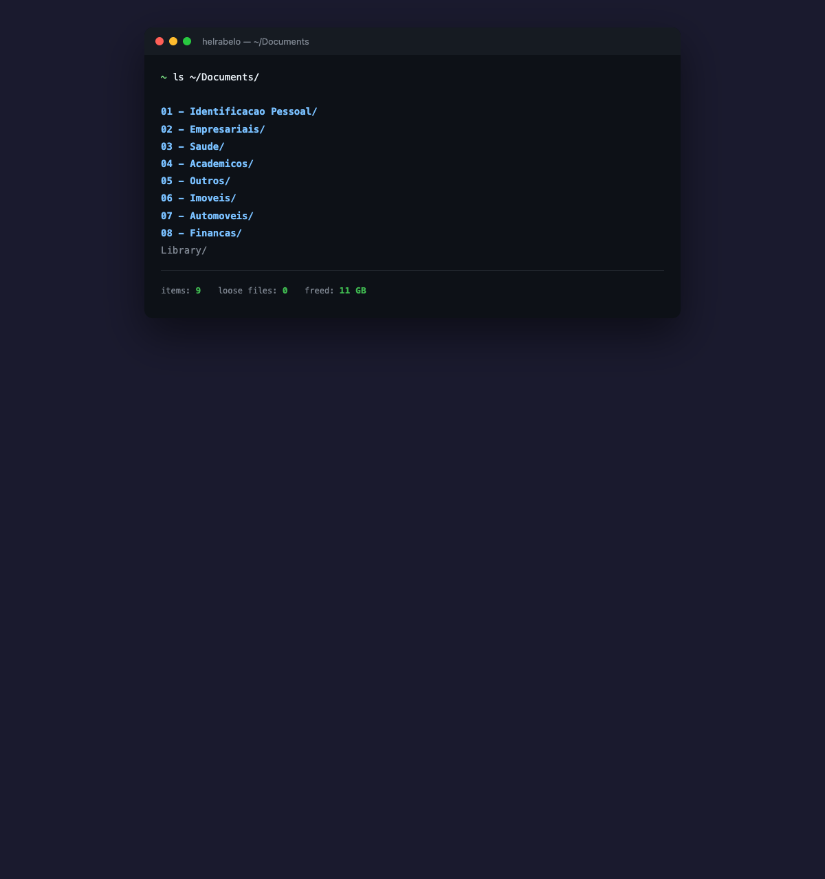 Documents folder after — 9 items, zero loose files, 11 GB freed